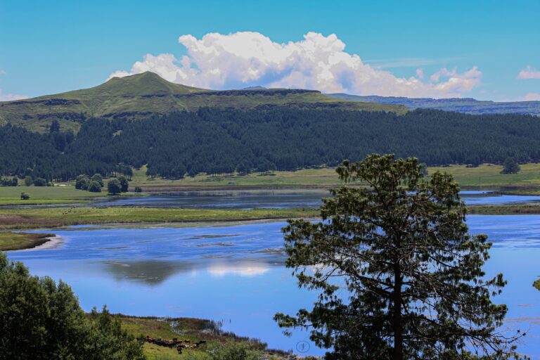 Lake Glencairn View